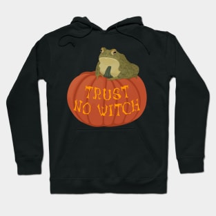 Halloween trust no witch enchanted toad on a pumpkin Hoodie